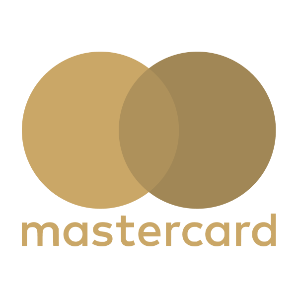 Mastercard Icon
